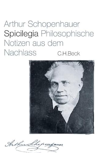 Spicilegia: Philosophische Notizen aus dem Nachlass