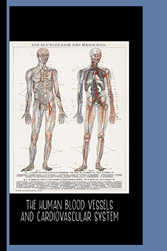 The Human Blood Vessels and Cardiovascular System (1898) : College Ruled Notebook: Die Blutgefasse Des Menschen / Gallery and Museum Art von Independently Published