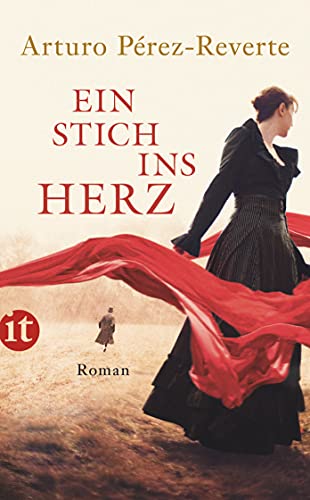 Ein Stich ins Herz: Roman (insel taschenbuch) von Insel Verlag