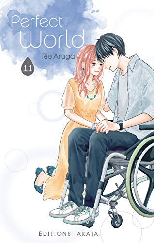 Perfect World - Tome 11 (VF) (11) von AKATA