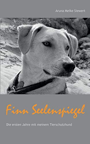 Finn Seelenspiegel: Die ersten Jahre mit meinem Tierschutzhund