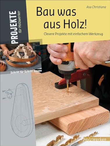 Bau was aus Holz!: Clevere Projekte mit einfachem Werkzeug von Vincentz Network