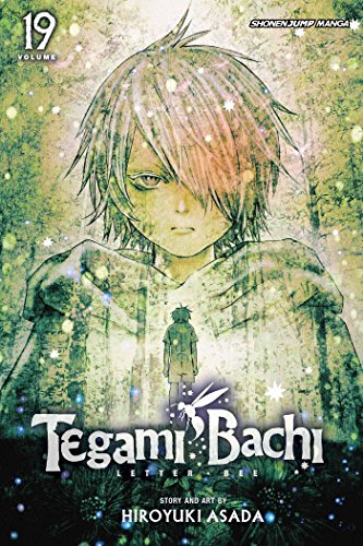 Tegami Bachi Volume 19: Akatsuki, The Capital (TEGAMI BACHI GN, Band 19)