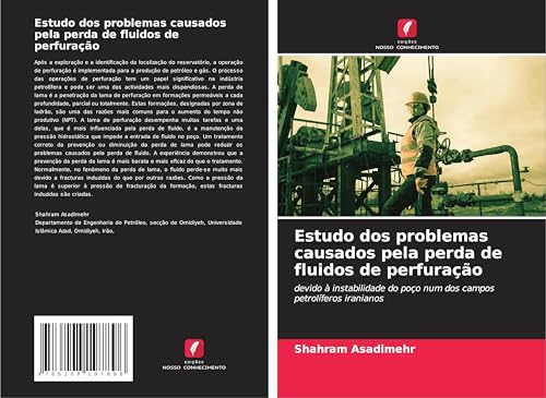 Estudo dos problemas causados pela perda de fluidos de perfuração: devido à instabilidade do poço num dos campos petrolíferos iranianos