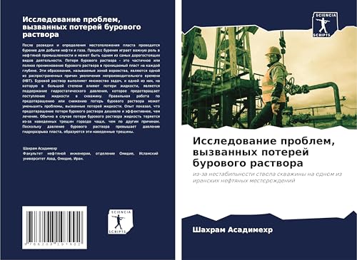 Issledowanie problem, wyzwannyh poterej burowogo rastwora: iz-za nestabil'nosti stwola skwazhiny na odnom iz iranskih neftqnyh mestorozhdenij Issledowanie problem, wyzwannyh poterej burowogo rastwora: iz-za nestabil'nosti stwola skwazhiny na odnom iz iranskih neftqnyh mestorozhdenij