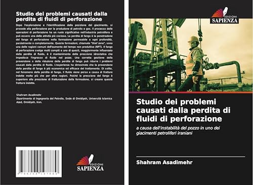Studio dei problemi causati dalla perdita di fluidi di perforazione: a causa dell'instabilità del pozzo in uno dei giacimenti petroliferi iraniani