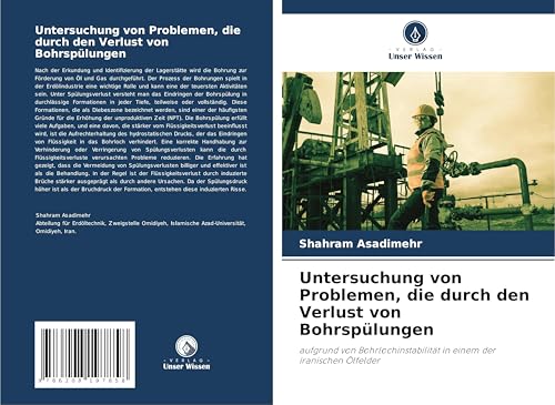 Untersuchung von Problemen, die durch den Verlust von Bohrspülungen: aufgrund von Bohrlochinstabilität in einem der iranischen Ölfelder