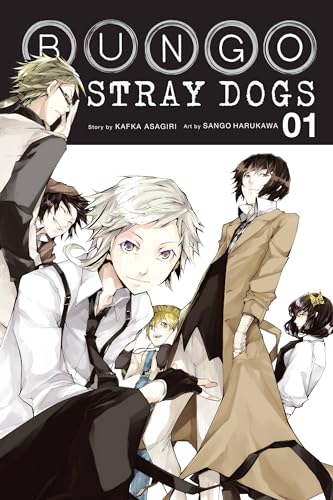 Bungo Stray Dogs, Vol. 1: Volume 1 (BUNGO STRAY DOGS GN, Band 1)