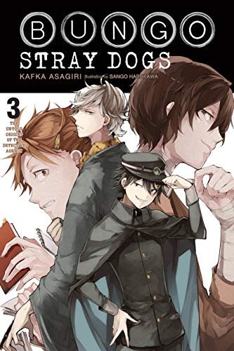 Bungo Stray Dogs, Vol. 3 (light novel): The Untold Origins of the Detective Agency (BUNGO STRAY DOGS NOVEL SC, Band 3)