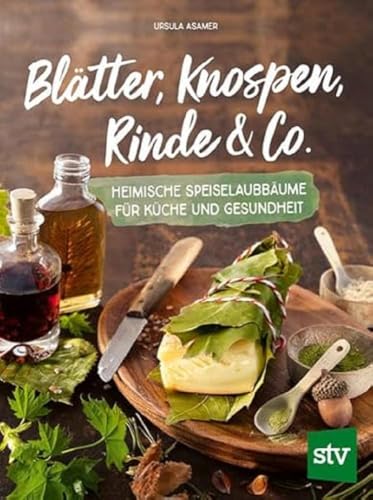 Blätter, Knospen, Rinde & Co.: Heimische Speiselaubbäume für Küche und Gesundheit von STOCKER, L