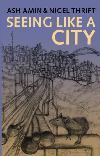 Seeing Like a City