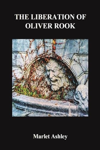 The Liberation of Oliver Rook von Austin Macauley Publishers