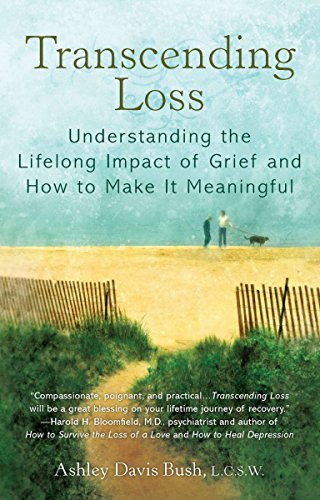 Transcending Loss: Understanding the Lifelong Impact of Grief and How to Make It Meaningful Transcending Loss: Understanding the Lifelong Impact of Grief and How to Make It Meaningful von Berkley