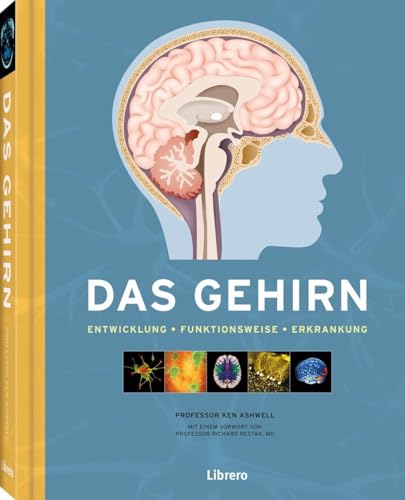 Das Gehirn: Das Gehirn und die psychische Gesundheit Das Gehirn: Das Gehirn und die psychische Gesundheit