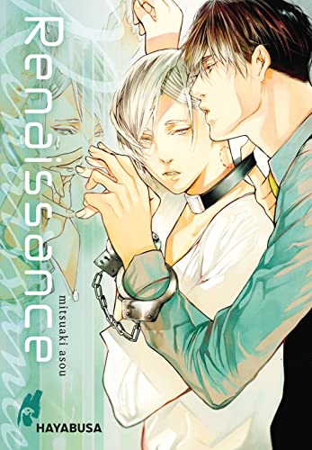 Renaissance: Erotischer Yaoi-Einzelband ab 18 aus dem Omegaverse von Hayabusa