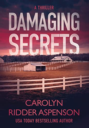 Damaging Secrets (Rachel Ryder, Band 1) von Severn River Publishing