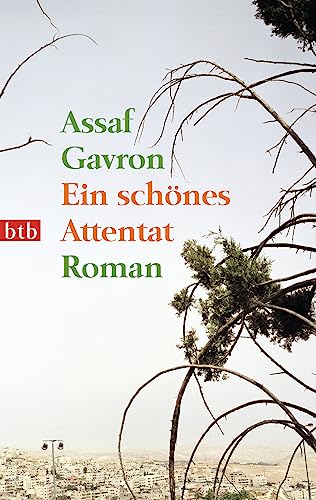 Ein schönes Attentat: Roman