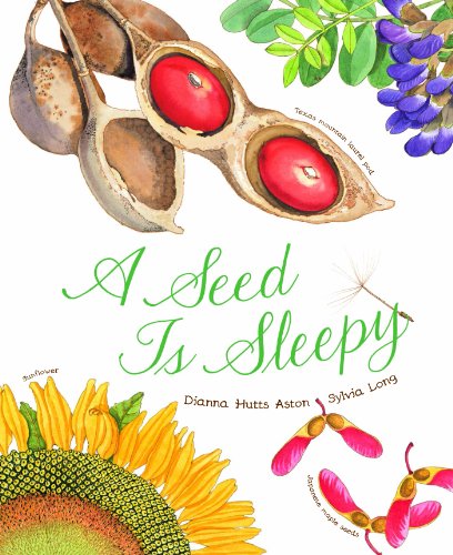 A Seed Is Sleepy: (Nature Books for Kids, Environmental Science for Kids) (Sylvia Long) von Chronicle Books