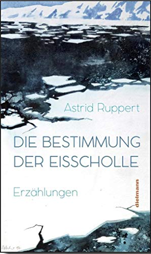 Die Bestimmung der Eisscholle: Acht Erzählung vom Nordpol von Dielmann Axel Verlag