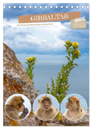 Gibraltar - Die Heimat der Berberaffen auf dem Rock (Tischkalender 2025 DIN A5 hoch), CALVENDO Monatskalender von CALVENDO