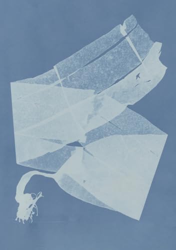 Carnet – Herbier des mers von RELIEFS