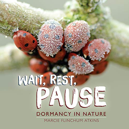 Wait, Rest, Pause: Dormancy in Nature von Millbrook Press (Tm)