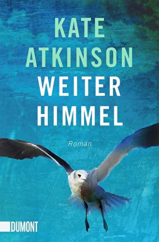 Weiter Himmel: Roman (Jackson-Brodie-Reihe, Band 5)