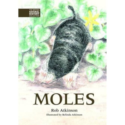 Moles (The British Natural History Collection, Band 3) von Whittet Books Ltd