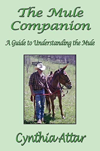 The Mule Companion: A Guide to Understanding the Mule von CCB Publishing