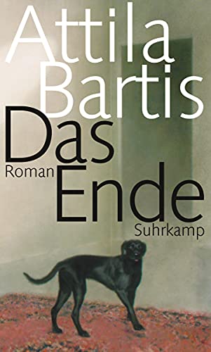Das Ende: Roman