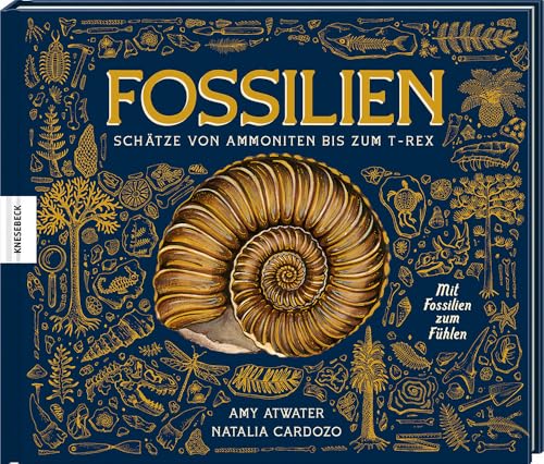 Fossilien – Schätze von Ammoniten bis zum T. Rex: Mit Fossilien zum Fühlen von Knesebeck