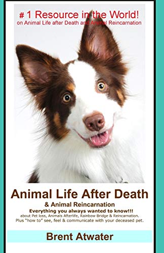 Animal Life After Death & Animal Reincarnation: Pet Loss Answers for all your heart's Questions! von CREATESPACE
