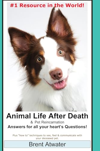 Animal Life After Death & Pet Reincarnation: Answers for all your heart's Questions! von CreateSpace Independent Publishing Platform