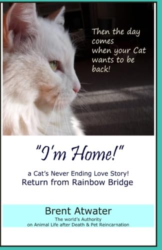 "I'm Home!" a Cat's Never Ending Love Story: Pets Past Lives, Animal Reincarnation, Animal Communication, Animals Soul Contracts, Animals Afterlife & Animals Spirits
