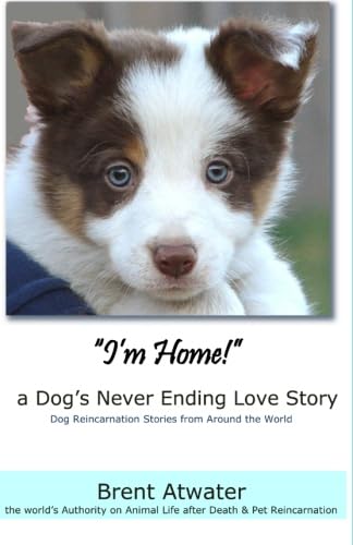 "I'm Home!" a Dog's Never Ending Love Story: Animals Afterlife, Pets Soul Contracts, Animal Reincarnation, Animal Communication, Animals Spirits and Pet Reincarnation von CreateSpace Independent Publishing Platform