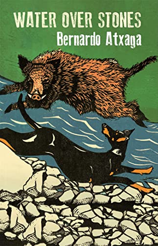 Water over Stones von MacLehose Press