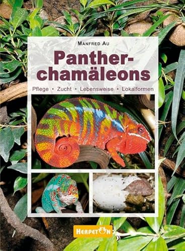 Pantherchamäleons: Pflege, Zucht, Lebensweise, Lokalformen von Herpeton Verlag