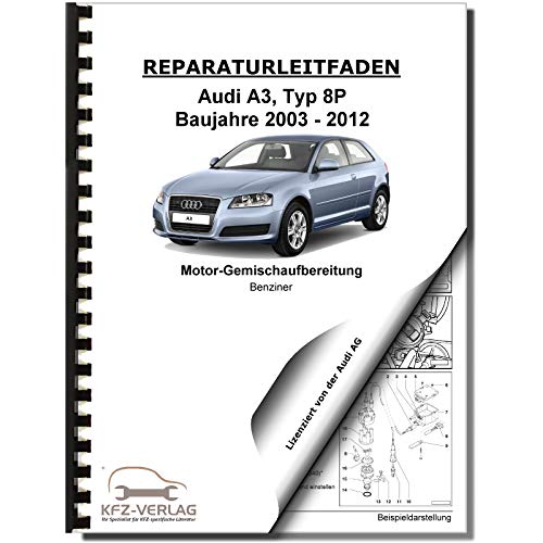 Audi A3 8P (03-12) 4-Zyl Benziner Einspritz Zundanlage 1,8l Reparaturanleitung