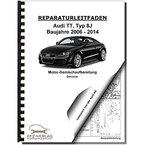 Audi TT Typ 8J (06-14) Benziner Einspritz- Zundanlage 2,0l Reparaturanleitung