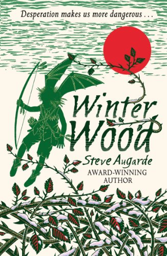 Winter Wood: The Touchstone Trilogy (The Various, 3) von Corgi Childrens
