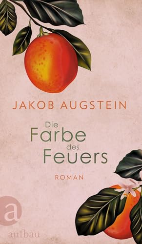 Die Farbe des Feuers: Roman von Aufbau