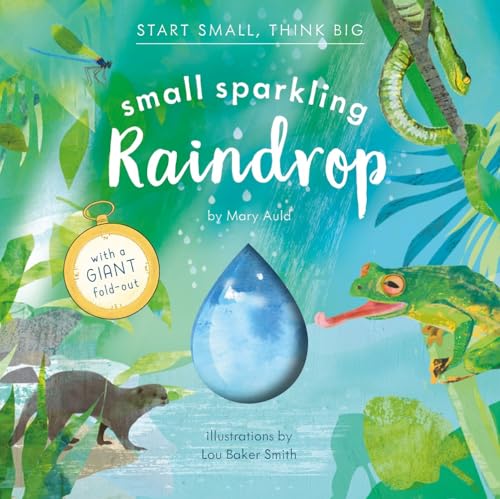 Small Sparkling Raindrop (Start Small, Think Big #5) von Red Comet Press