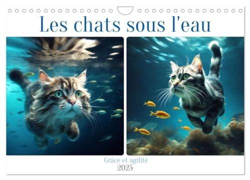 Les chats sous l'eau (Calendrier mural 2025 DIN A4 vertical), CALVENDO calendrier mensuel: Découvrez la grâce aquatique de nos amis félins. von Calvendo