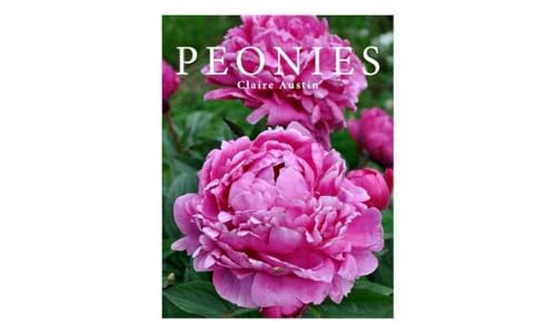 Peonies Peonies von Sagga