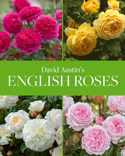 David Austin's English Roses von Acc Art Books