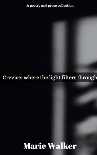 Crevice: where the light filters through von Bookleaf Publishing