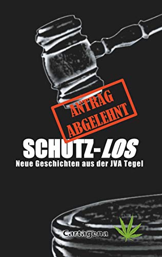 Schutzlos: Neue Geschichten aus der JVA Tegel