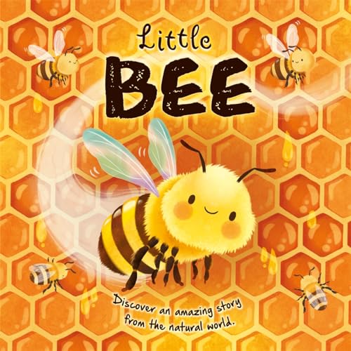 Little Bee (An illustrated story about the life-cycle of a bee) von Igloo Books Ltd