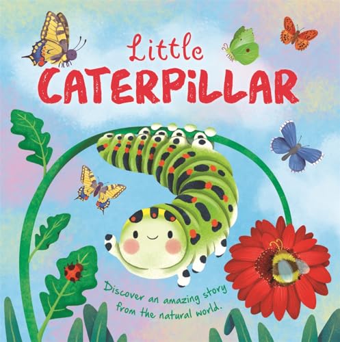 Little Caterpillar (An illustrated story about the life-cycle of a caterpillar) von Igloo Books Ltd