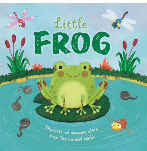 Little Frog (An illustrated story about the life-cycle of a frog) von Igloo Books Ltd